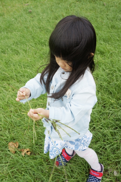 DSC07087a1200