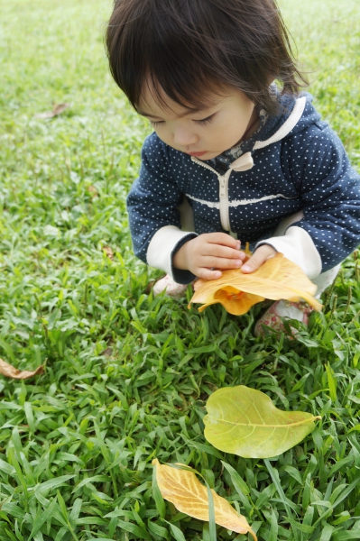 DSC07178a1200