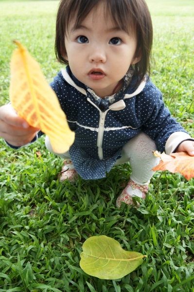 DSC07179a1200