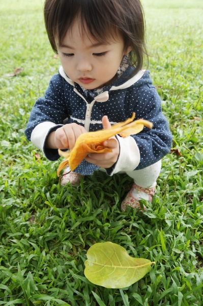 DSC07180a1200