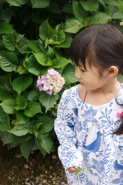 DSC07776a1200