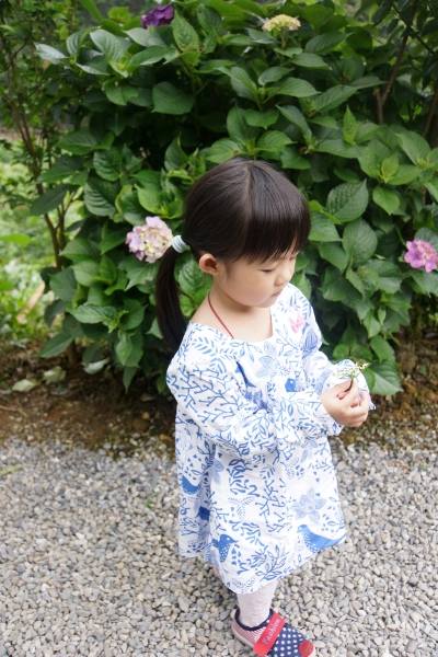 DSC07783a1200