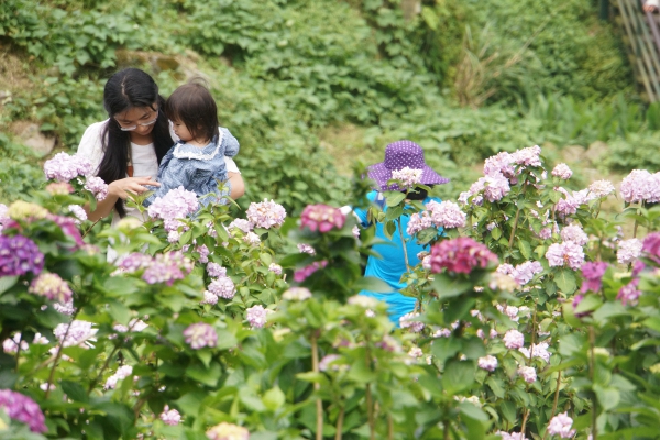 DSC07815a1200