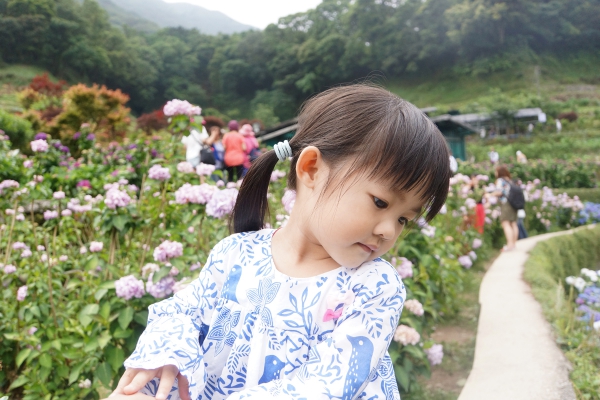 DSC07827a1200