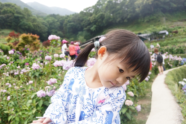 DSC07828a1200