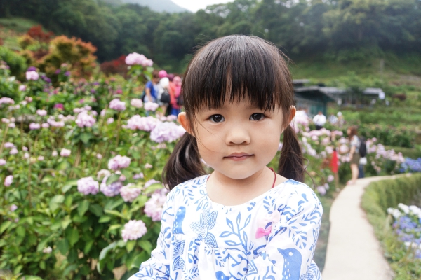 DSC07830a1200