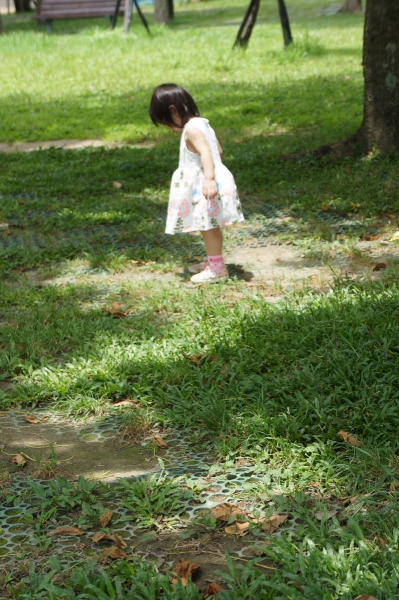 DSC07902a1200