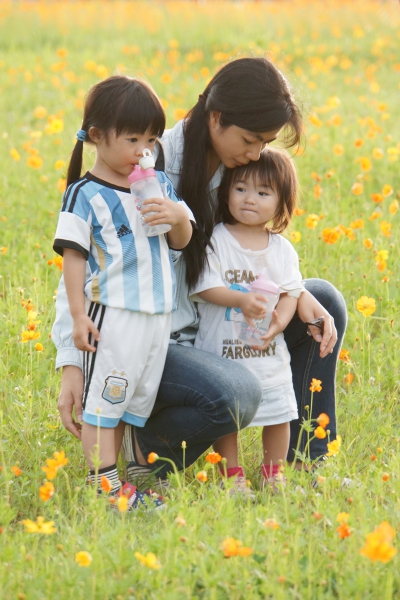 DSC08134a1200