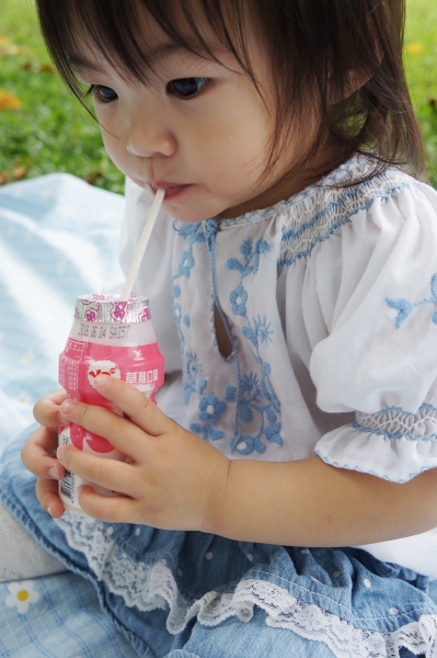DSC08234a1200