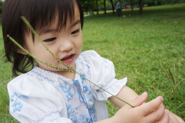 DSC08457a1200