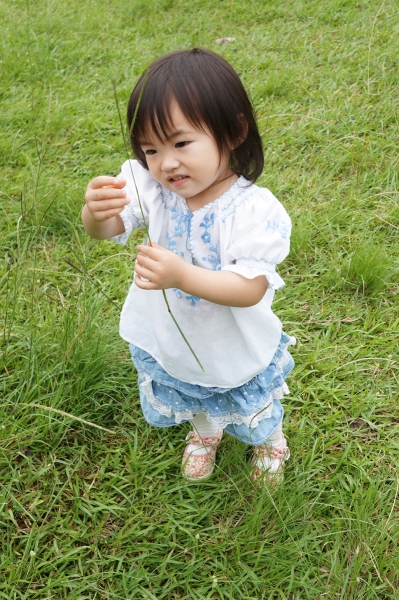 DSC08472a1200