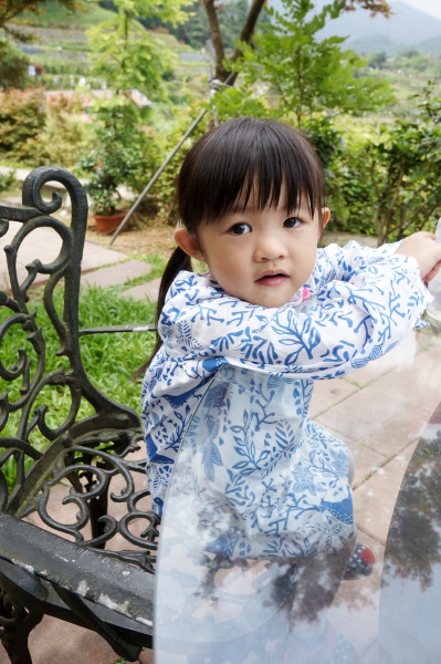 DSC08532a1200