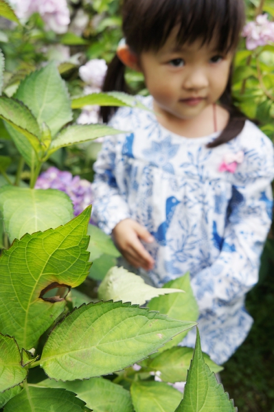 DSC08550a1200