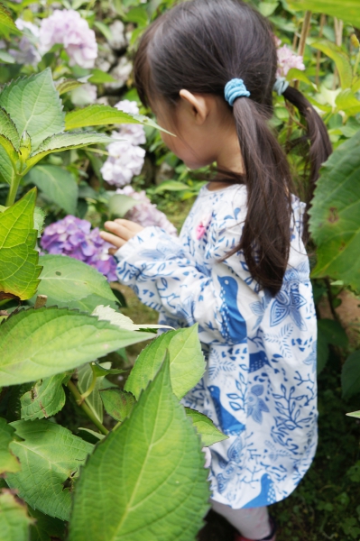 DSC08560a1200