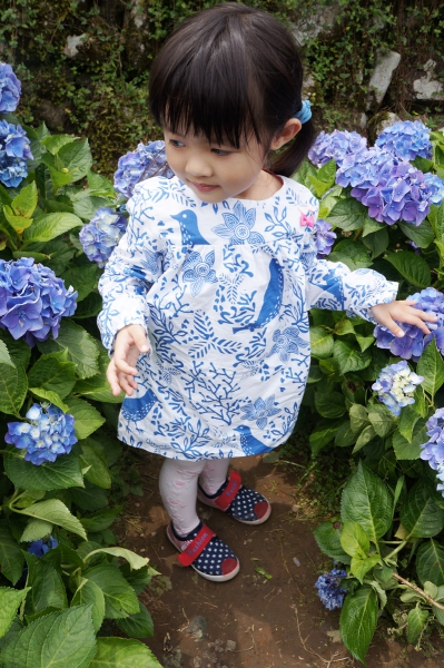DSC08578a1200