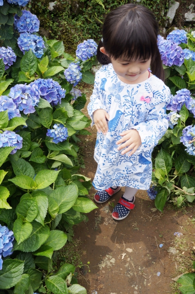 DSC08584a1200