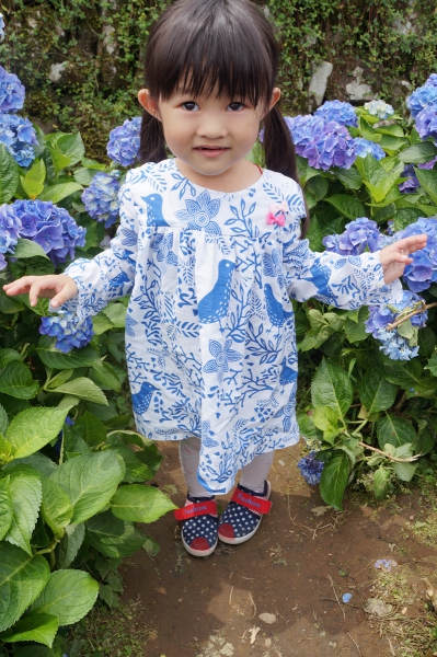 DSC08588a1200