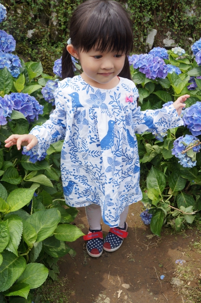 DSC08589a1200