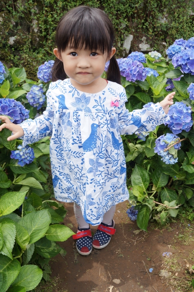 DSC08594a1200