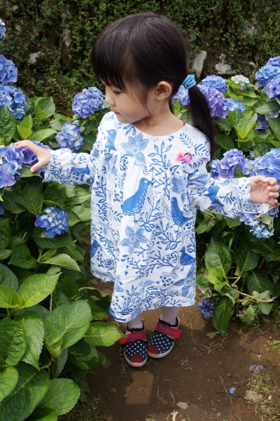 DSC08595a1200