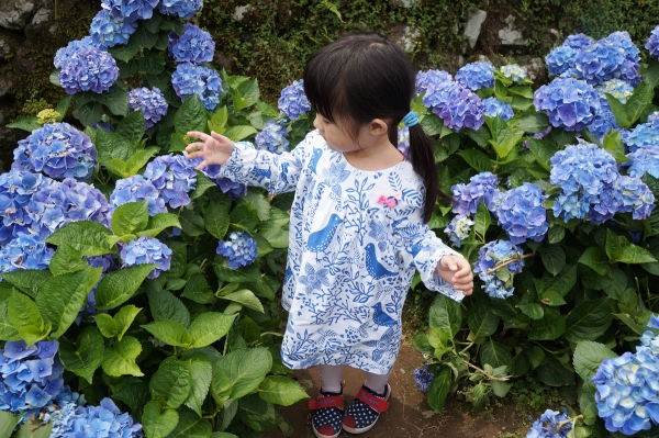 DSC08596a1200