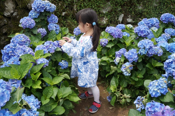 DSC08597a1200