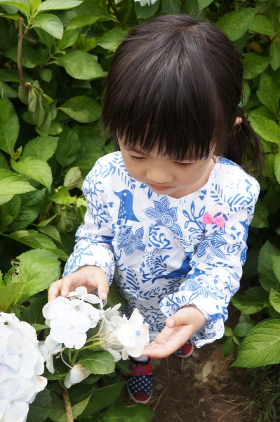 DSC08611a1200