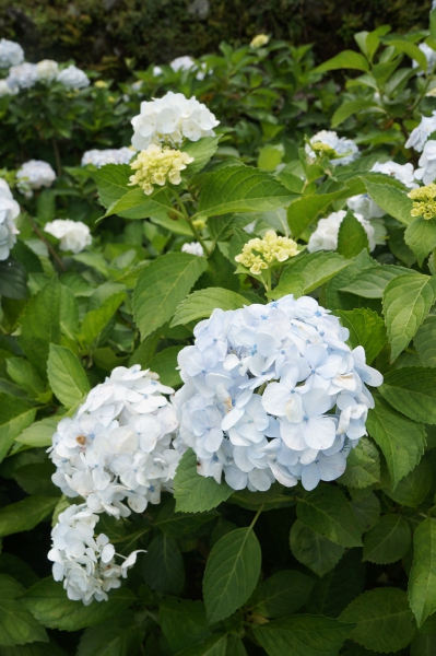 DSC08613a1200