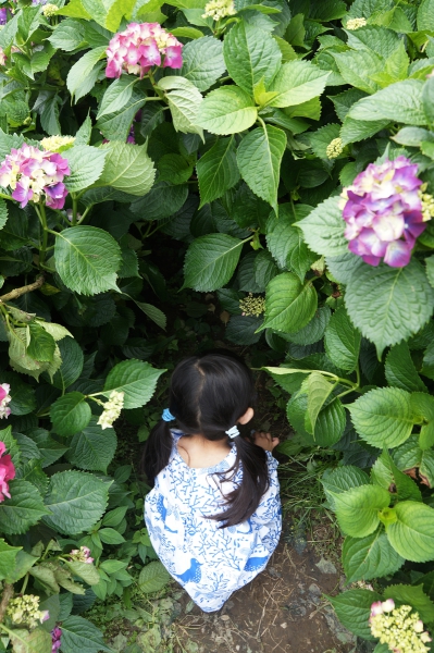 DSC08633a1200