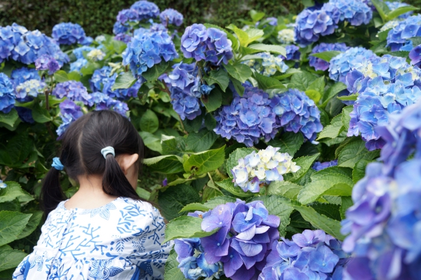 DSC08648a1200