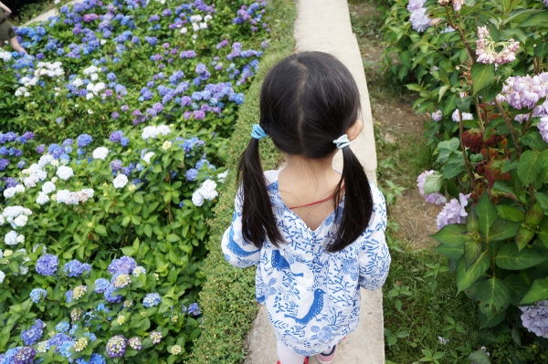 DSC08662a1200