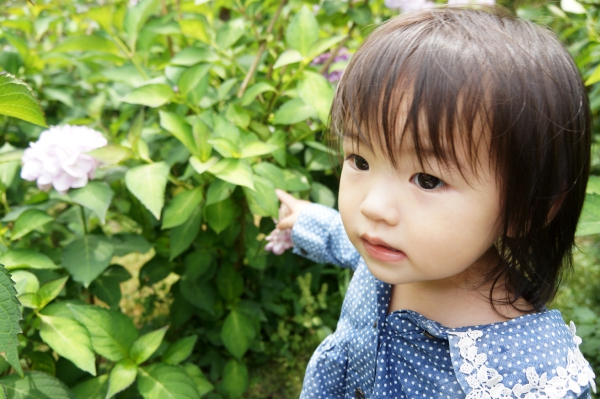 DSC08671a1200