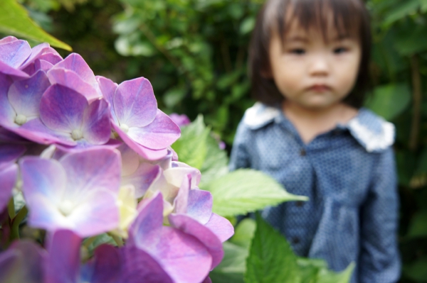 DSC08680a1200