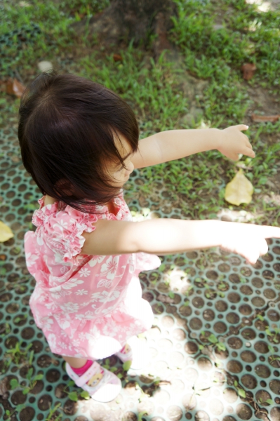 DSC00028a1200