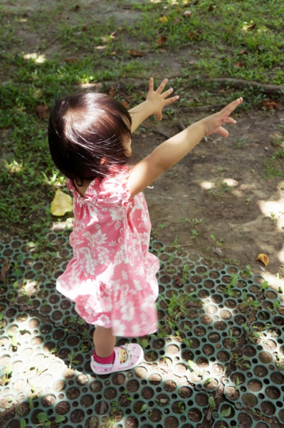DSC00030a1200