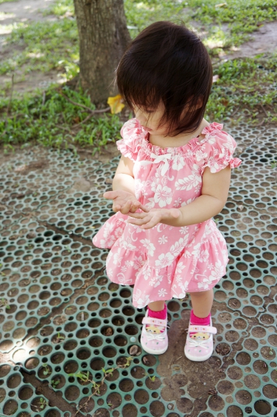 DSC00037a1200
