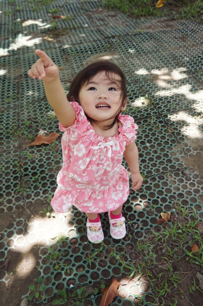 DSC00040a1200