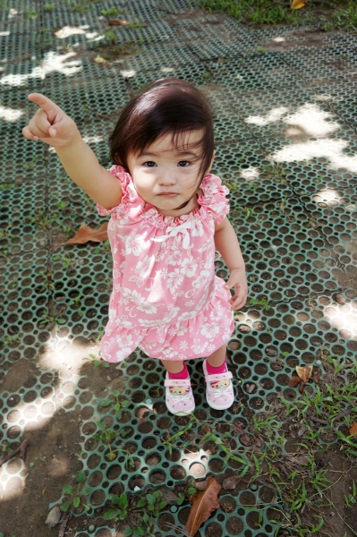 DSC00042a1200