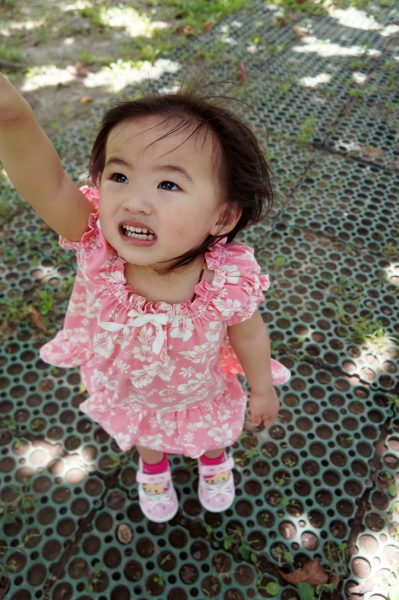 DSC00054a1200