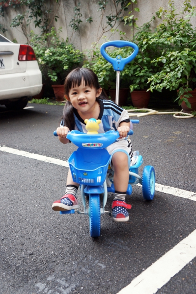 DSC00181a1200