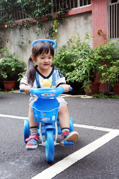 DSC00184a1200