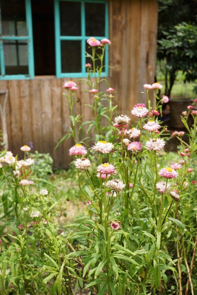 DSC08557a1200