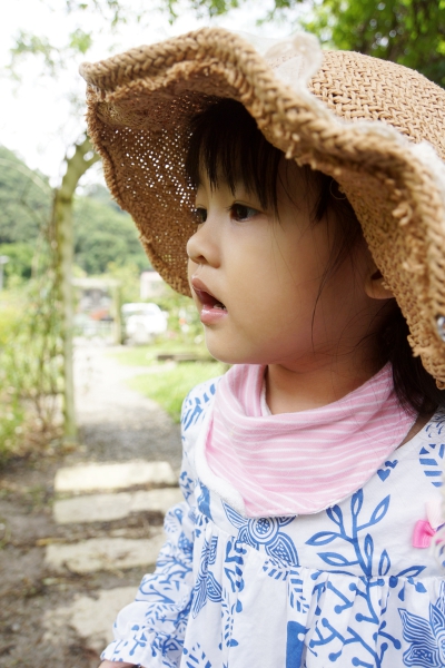 DSC08678a1200