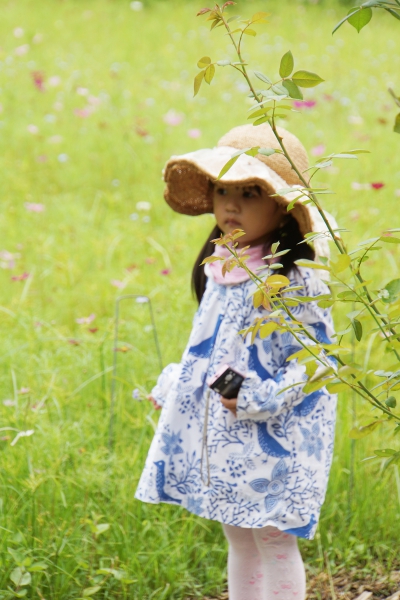 DSC08749a1200