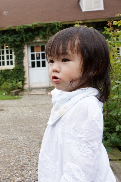 DSC08772a1200