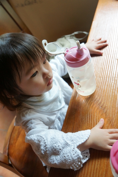 DSC08787a1200