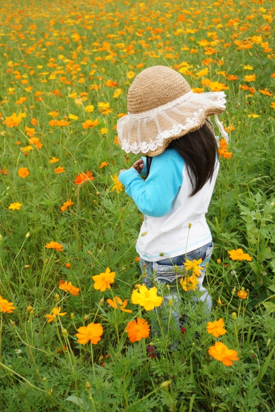 DSC08878a1200