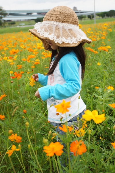 DSC08880a1200