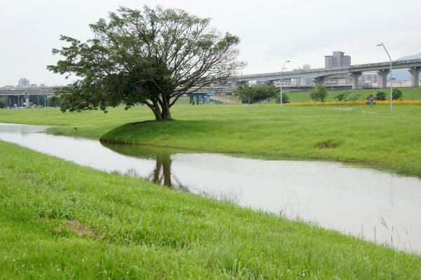 DSC08969a1200