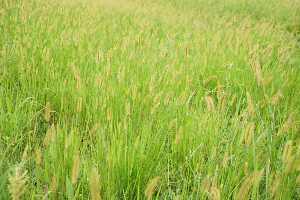 DSC08971a1200